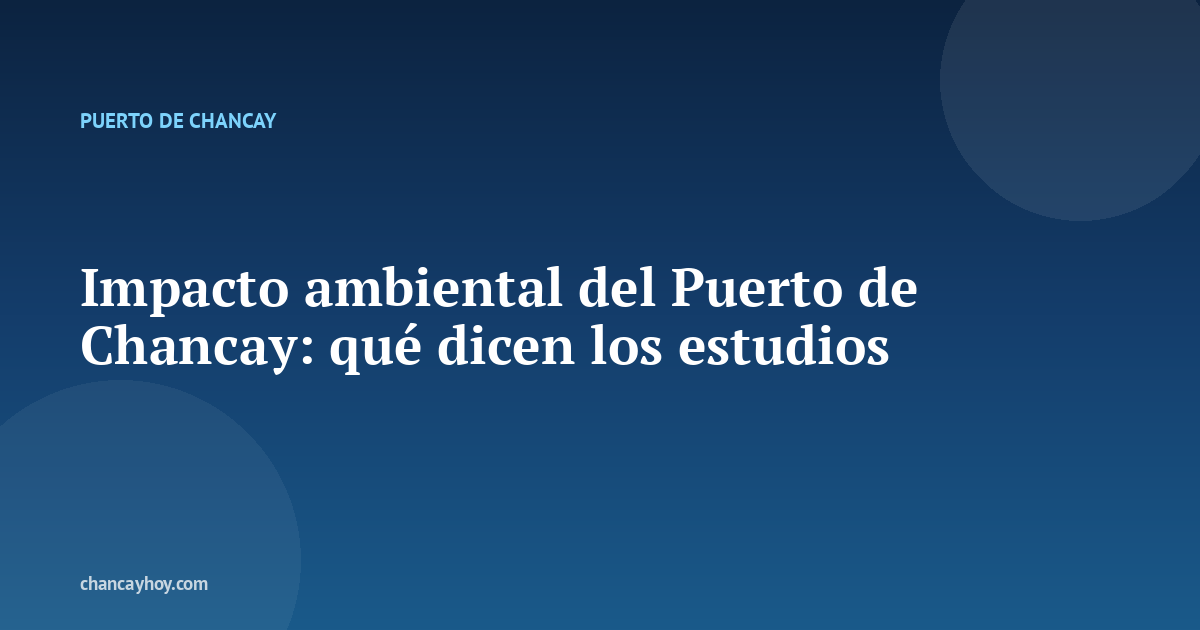 Impacto ambiental del Puerto de Chancay: qué dicen los estudios