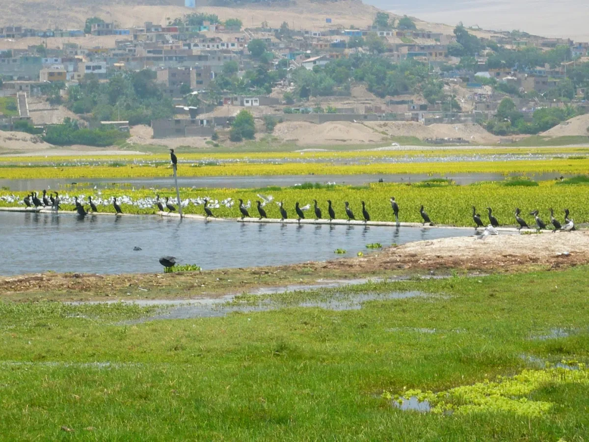 Humedales De Santa Rosa