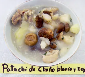 Batido de maca