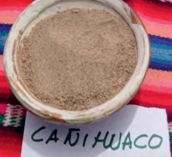 Cañihuaco