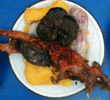 Cuy asado con morcilla de tripas