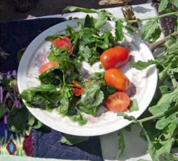 Ensalada de occoro con tomate de campo