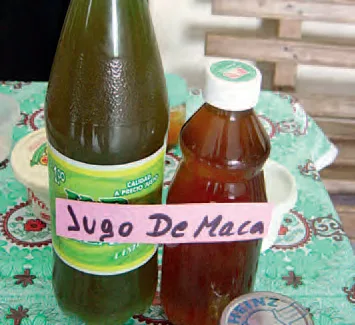 Hotongo de maca