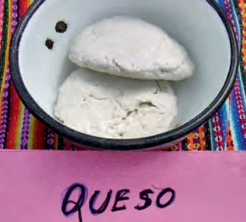 Locro de mashua con quinua