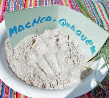 Machca de maíz