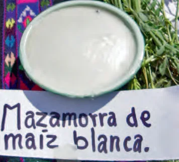 Olluco con charqui de alpaca