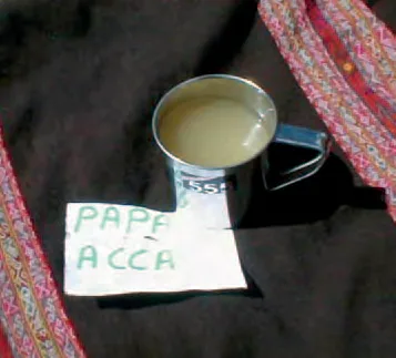Papa aqha