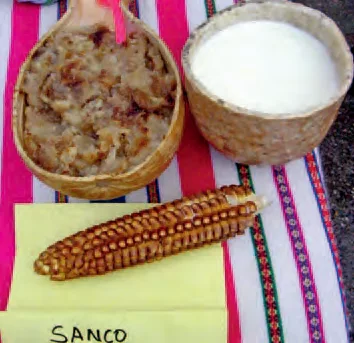 Sanco de calabaza con maíz