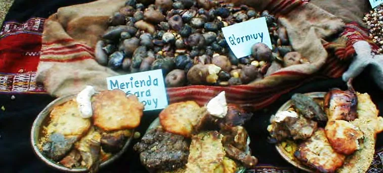 Sara Tarpuy merienda