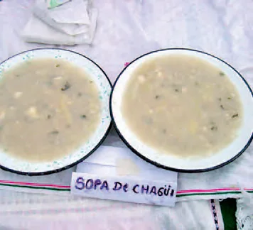 Sopa de chahui