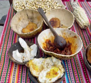 Sopa de chupefruta