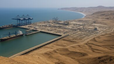 ¿Y el medio ambiente? Chancay lleva 5 meses sin respuestas claras